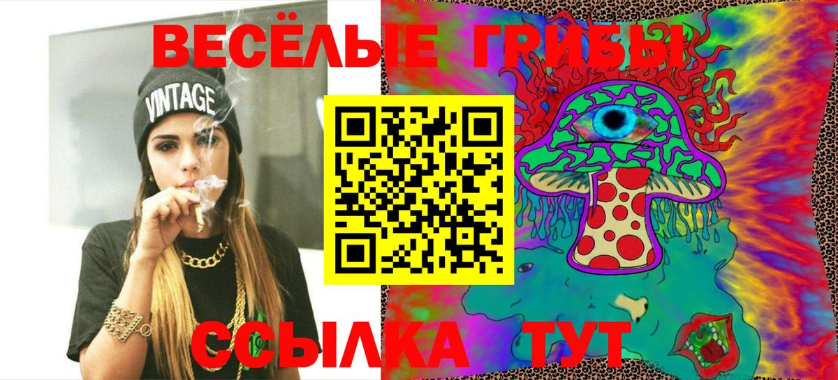 Галлюциногенные грибы Cubensis Аргун